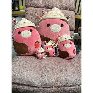 Rishi Squishmallow Bundle